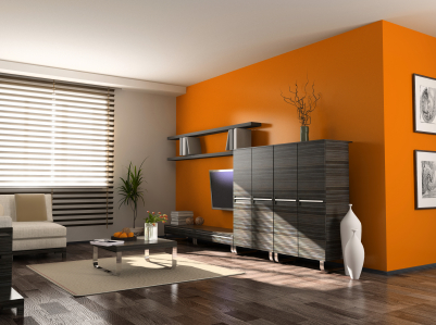 Modern Interior  Apartment Design